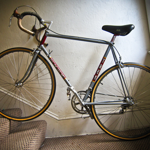 Trek 310 Silver or Gray