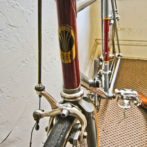 Trek 310 Silver or Gray