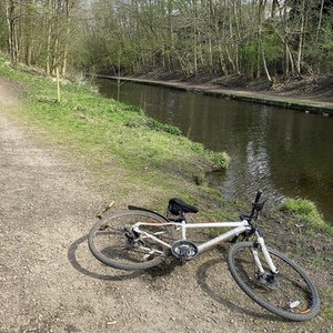 2020 Carrera bicycles Crossfire 2 Hybrid White