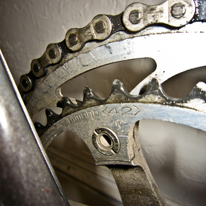 Trek 310 Silver or Gray