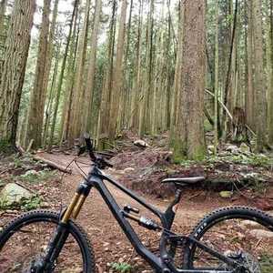 2020 Canyon bicycles Torque Black