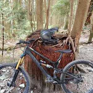 2020 Canyon bicycles Torque Black