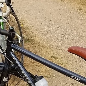 2011 Trek Silver, gray or bare metal