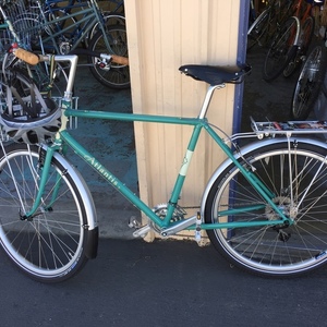 2019 Rivendell Bicycle Works Atlantis Green and White