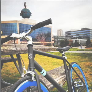 2013 Solé Late Blummer Black