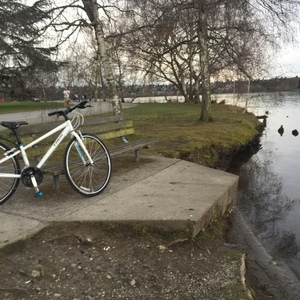 2015 Trek Trek 7.2 FX WSD 15 White