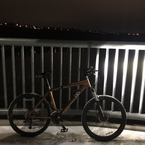 2009 diamondback response sport