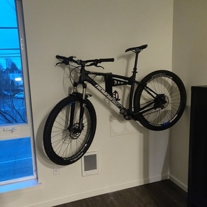 Diamondback Black
