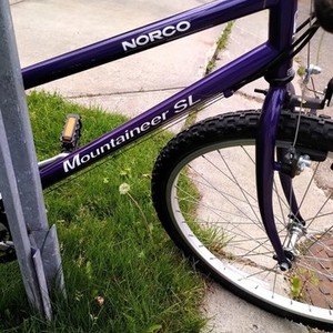 Norco Bikes Mountain trek Purple