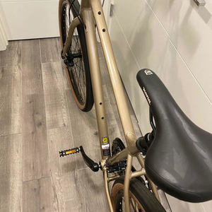 2020 Kona Dew Silver, gray or bare metal