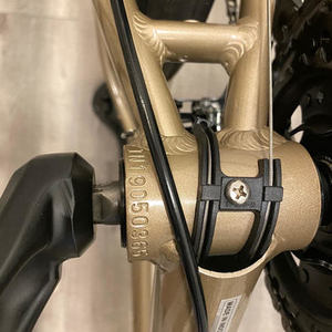 2020 Kona Dew Silver, gray or bare metal