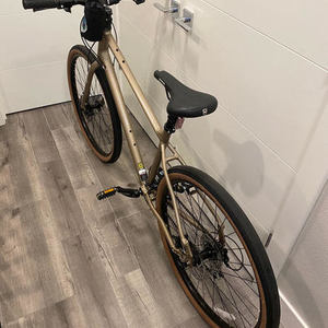 2020 Kona Dew Silver, gray or bare metal