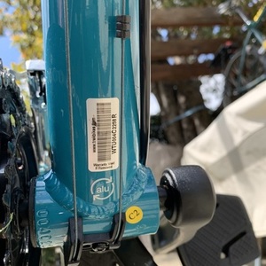 2020 Trek Verve 2 Teal