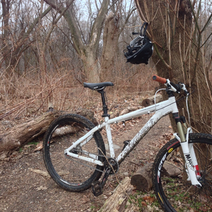 2012 Santa Cruz Chameleon White