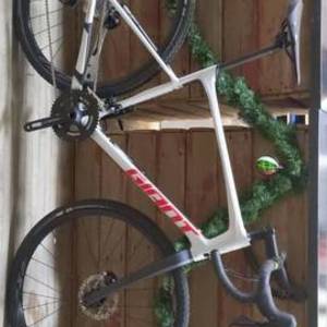 2020 Giant Revolt Silver, gray or bare metal