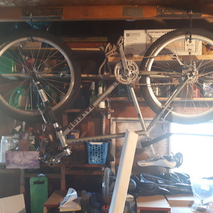 Raleigh serengeti Silver, gray or bare metal