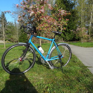 Rodriguez Rainier Blue