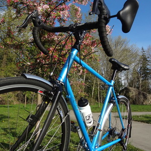 Rodriguez Rainier Blue