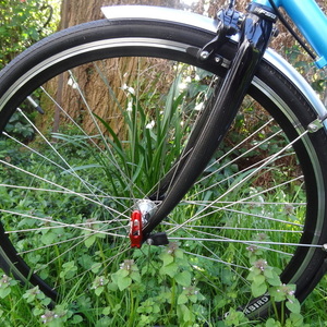 Rodriguez Rainier Blue