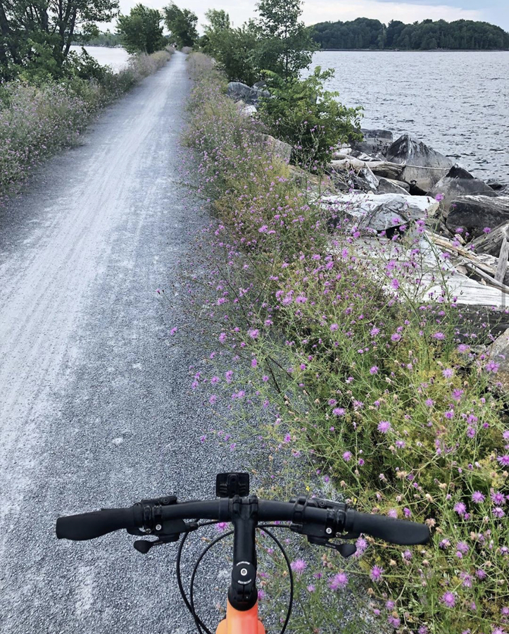 specialized vita elite disc