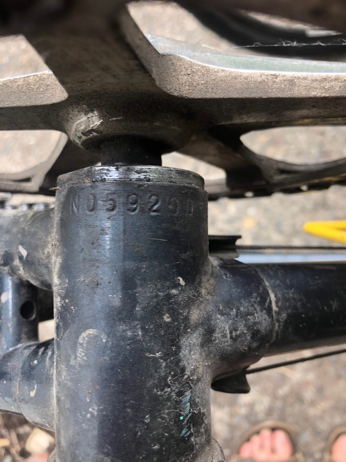 Bike photo