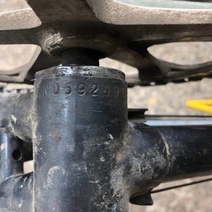 1993 Miyata Black