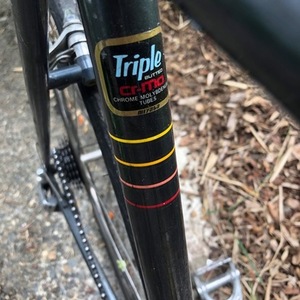 1993 Miyata Black