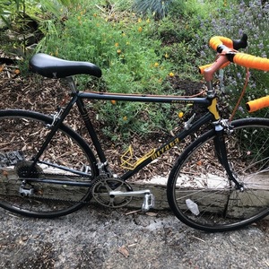 1993 Miyata Black