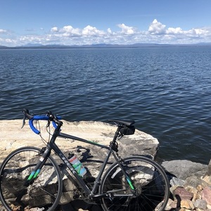 2017 Trek Lexa Silver, gray or bare metal, Blue, and Green