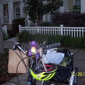 2016 IZIP tricycle Blue