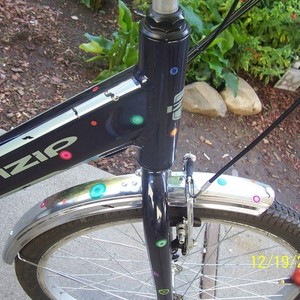 2016 IZIP tricycle Blue