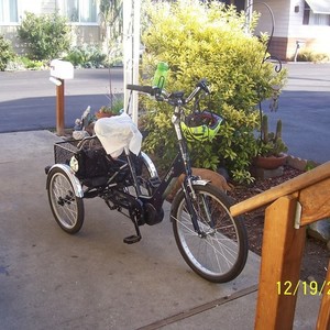 2016 IZIP tricycle Blue