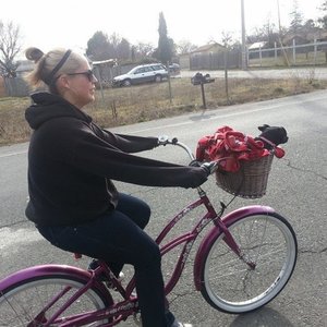 2009 Electra Hawaii Purple