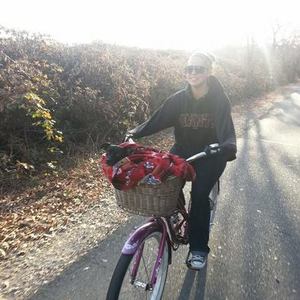 2009 Electra Hawaii Purple