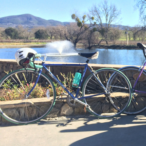 1983 Bianchi Blue and Teal