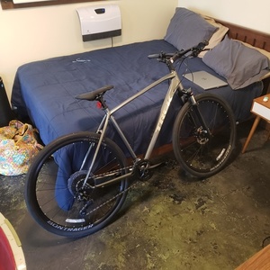 2020 Trek Dual Sport 4 Silver, gray or bare metal