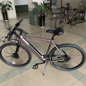 2020 Hilltopper Electric Bike Co. Discover Pink