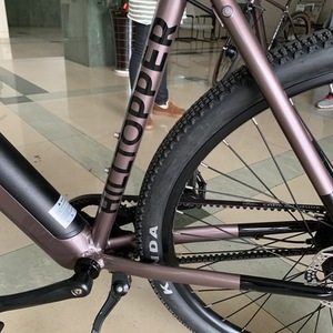 2020 Hilltopper Electric Bike Co. Discover Pink