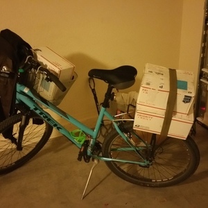 2016 Trek cargo bike (rear storage) Blue