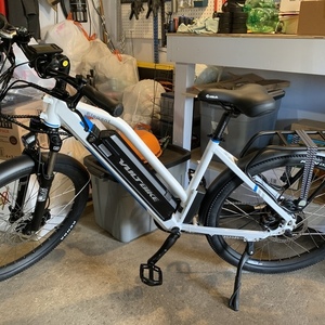 2019 Voltbike Elegant White