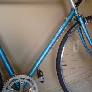 Raleigh Technium Teal