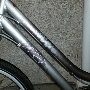 K2 Skye Silver or Gray