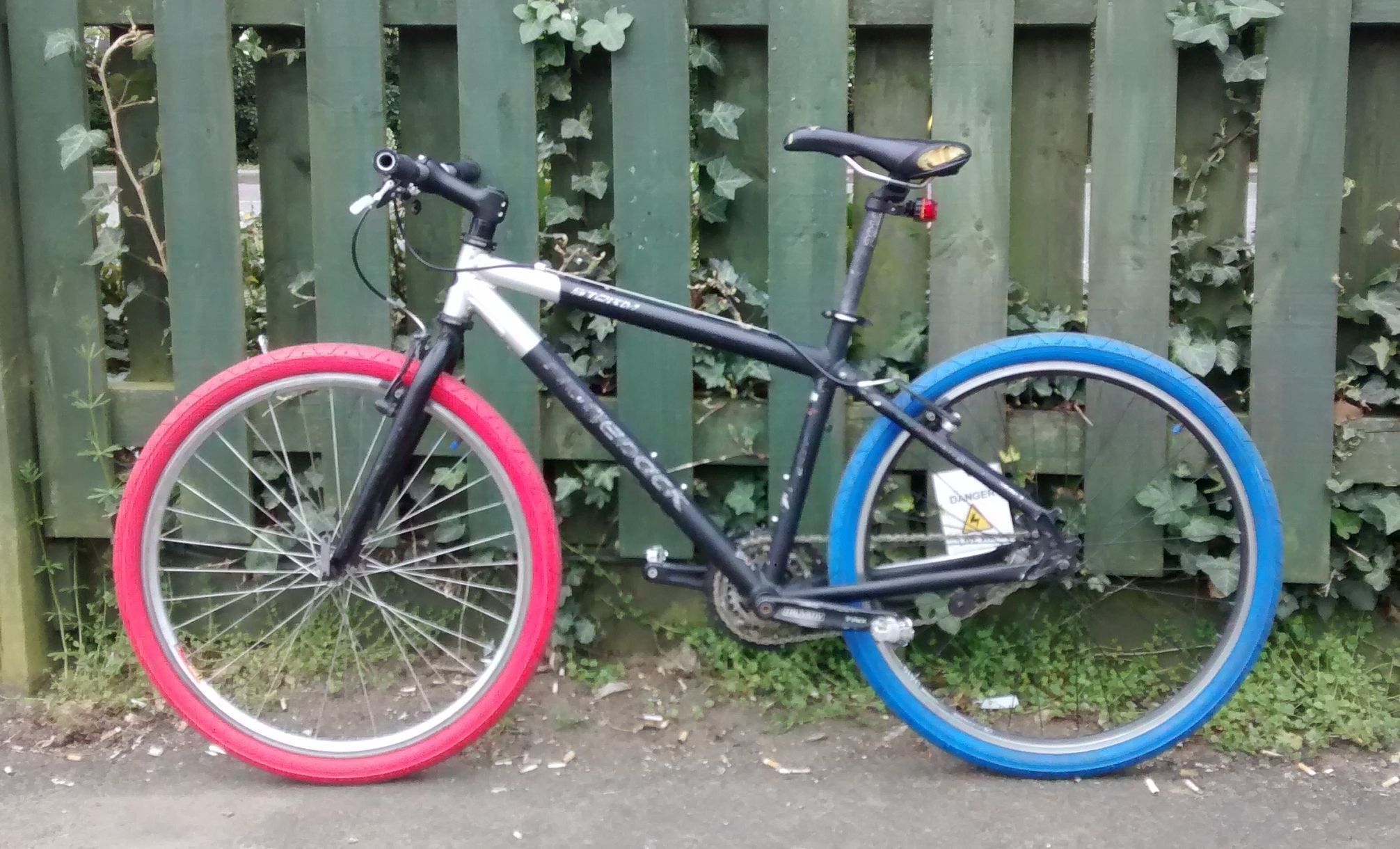 ridgeback storm 2020 review