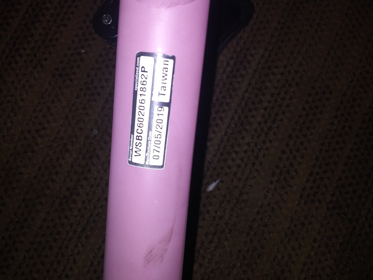 specialized rockhopper 2019 expert