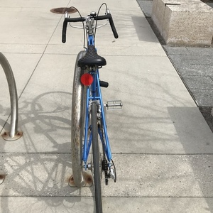 1980 Raleigh Record Blue