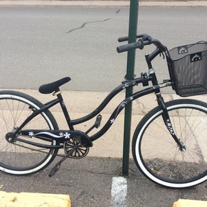 GreenLine BC-105 DL Black and Purple