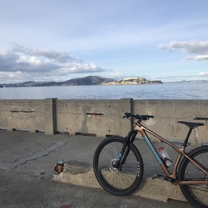 2020 Santa Cruz Chameleon Brown