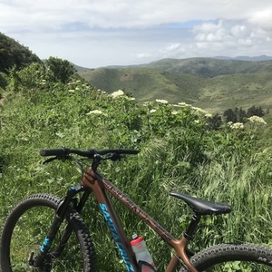 2020 Santa Cruz Chameleon Brown