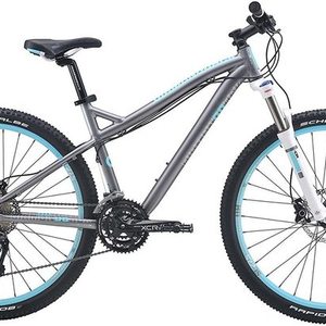 2016 Diamondback Lux Sport Silver, gray or bare metal