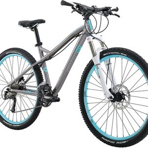 2016 Diamondback Lux Sport Silver, gray or bare metal